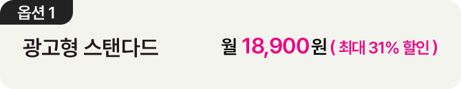 더블 스트리밍 연간권 옵션1