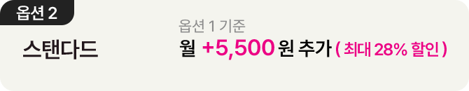 더블 스트리밍 연간권 옵션2