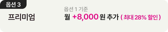 더블 스트리밍 연간권 옵션3