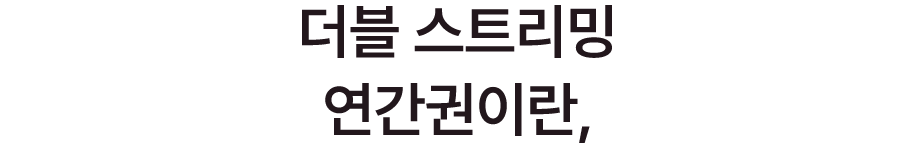더블 스트리밍 연간권