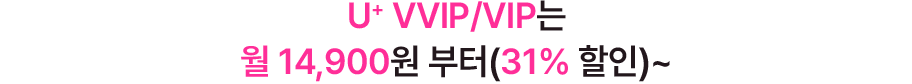 더블 스트리밍 연간권
