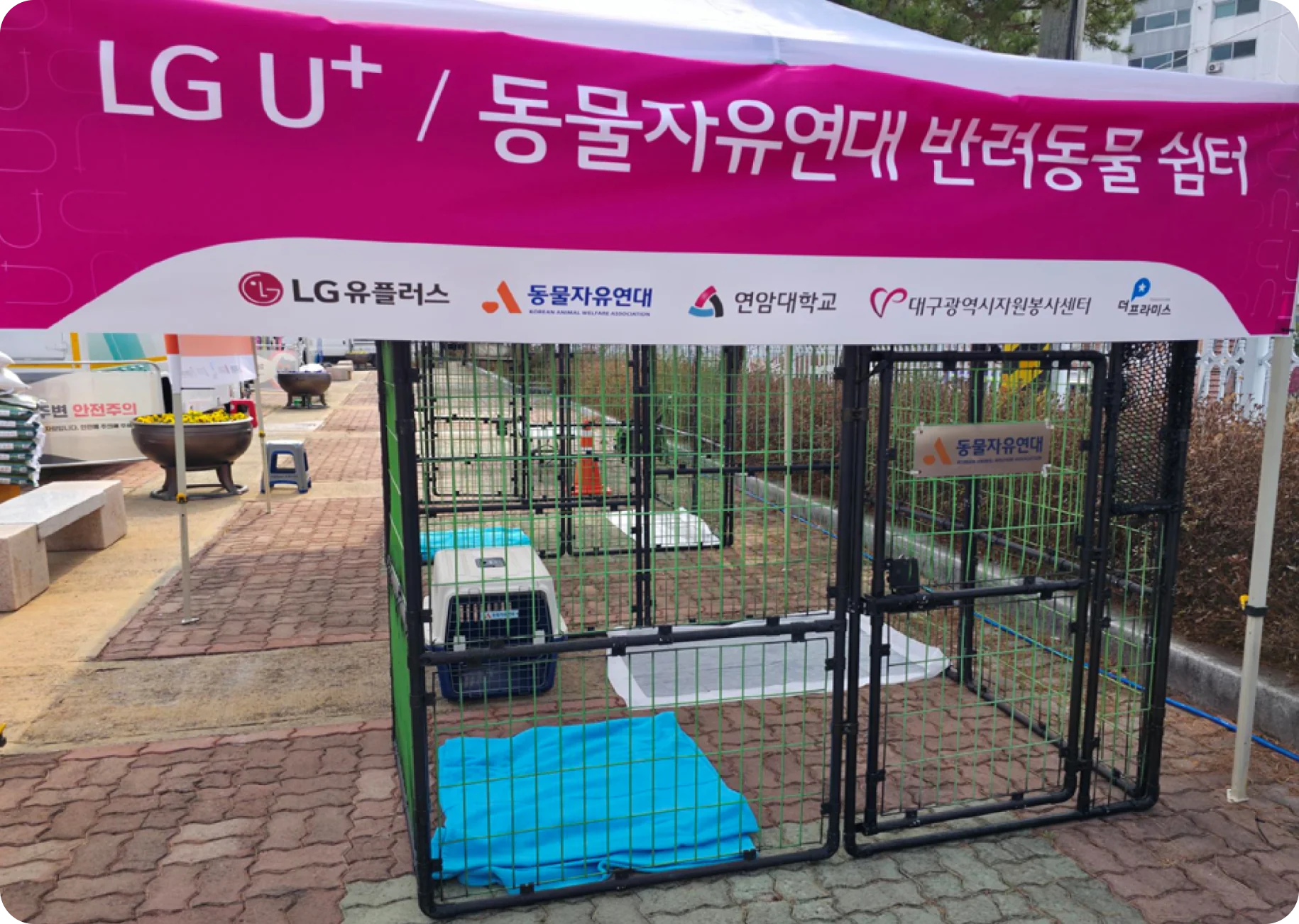 Pet Shelter for Pet Care