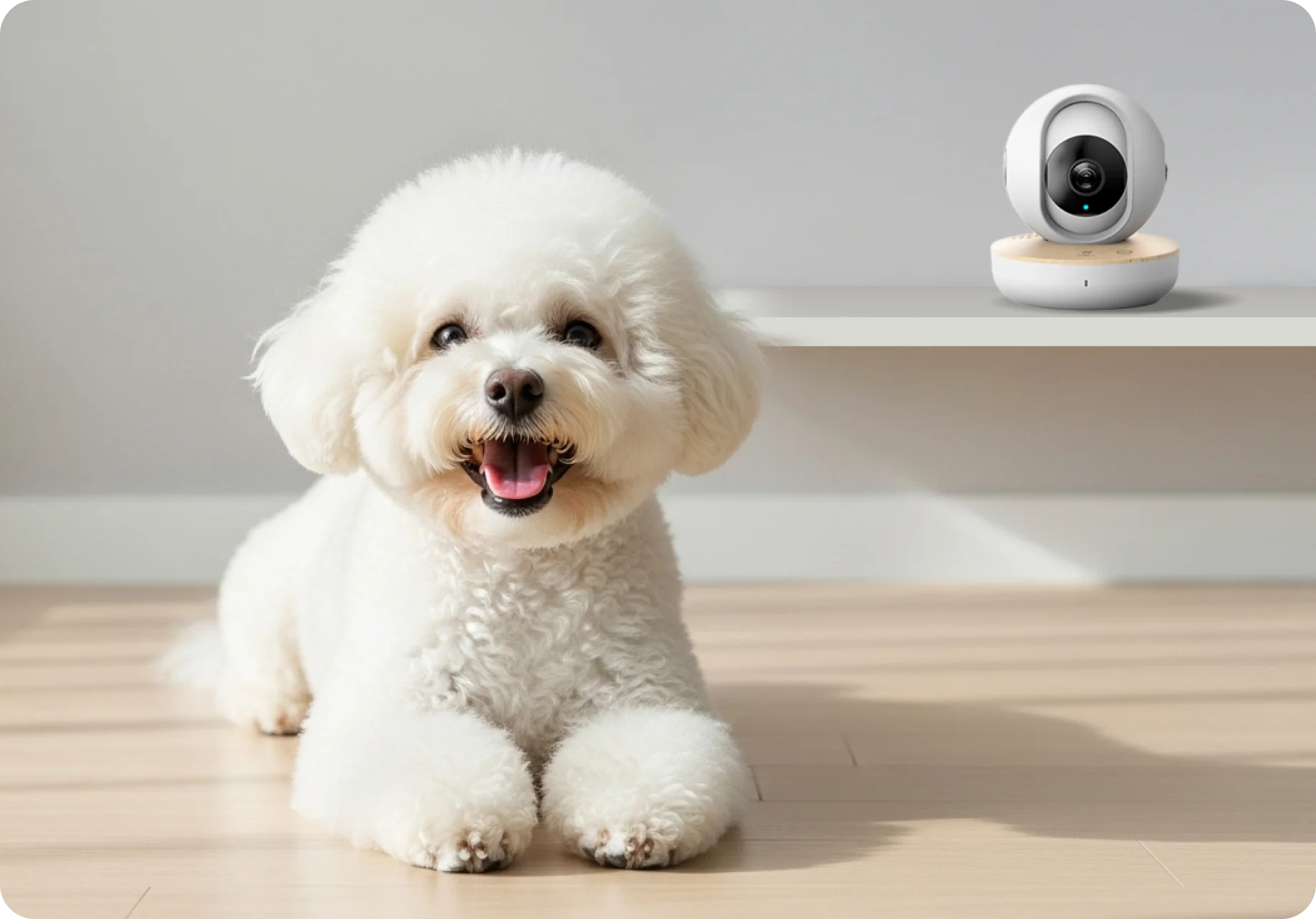 Smart Home 서비스 이미지