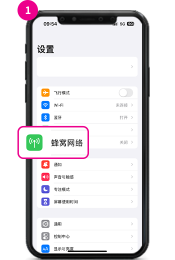 1. 从"设置"菜单中选择"蜂窝网络"按钮。