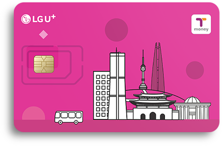 Unlimited Data and Free SNS Calls with LG U+ SIM Card