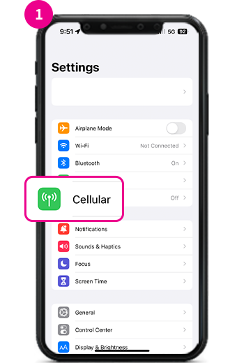 1. From the 'Settings' menu, tap on 'Cellular'