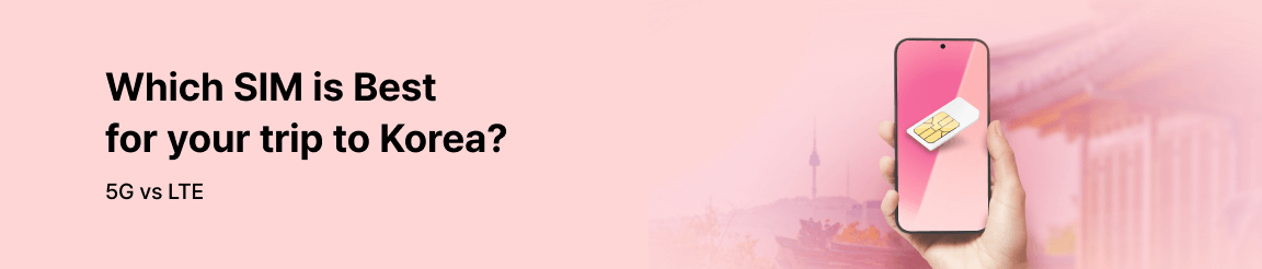 Exploring Korea with SIM