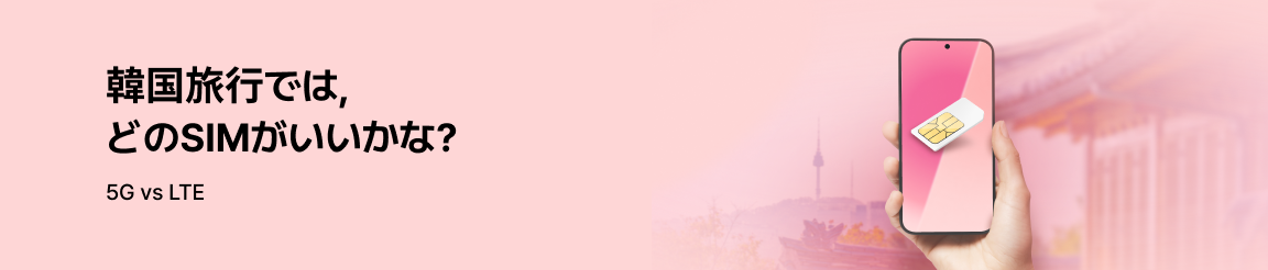 Exploring Korea with SIM