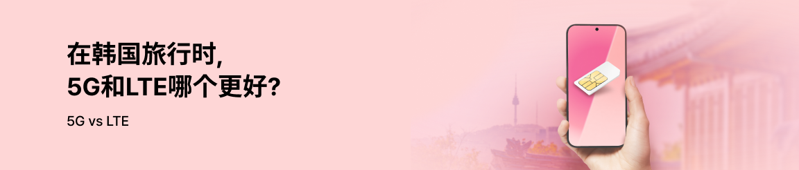 Exploring Korea with SIM