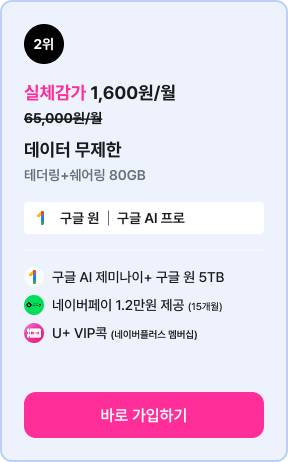 2위 원가 65,000원/월, 실체감가 1,600원/월. 데이터 80GB. 구글 AI 제미나이+구글원 5TB, 네이버페이 1.2만원 제공(15개월), U+VIP콕 (네이