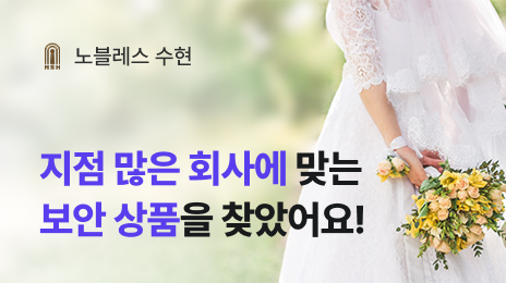 노블레스 수현 | 지점 많은 회사에 맞는 보안 상품을 찾았어요!