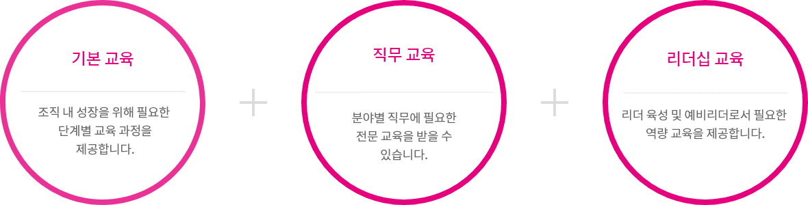 기본 교육-조직 내 성장을 위해 필요한 단계별 교육 과정을 제공합니다., 직무 교육-분야별 직무에 필요한 전문 교육을 받을 수 있습니다., 리더십 교육-리더 육성 및 예비리더로서 필요한 역량 교육을 제공합니다.