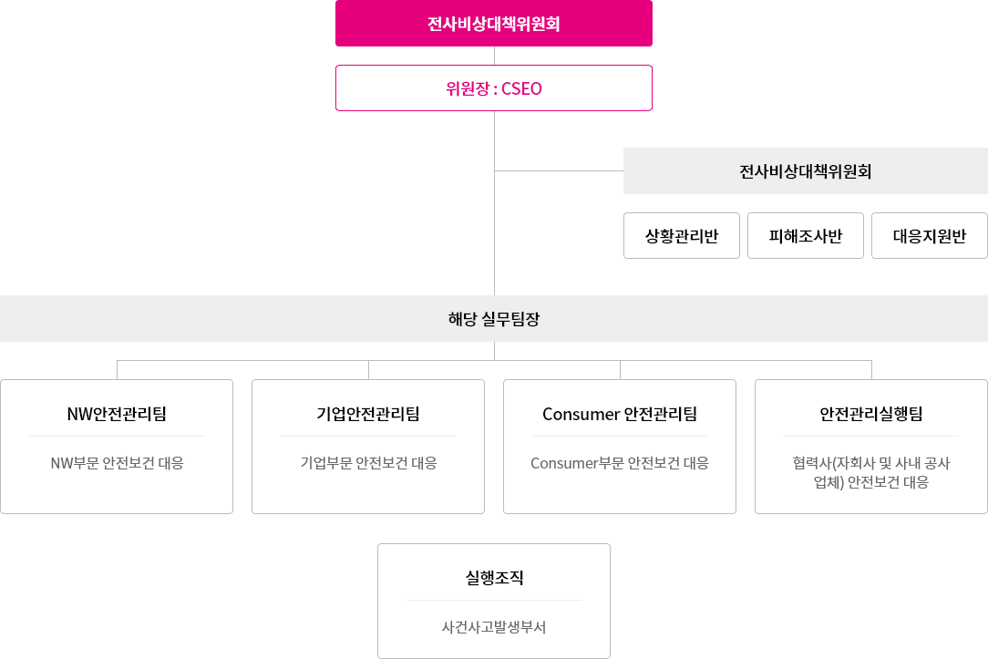 CEO-CHO(하위 부동산/안전관리담당)-NW 부문(NW안전관리팀), 기업 부문(기업안전관리팀), 고객서비스/품질혁신센터(고객서비스/품질혁신안전관리팀), 기타부문(기술/영업부문 등)(안전관리기획팀)