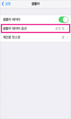 설정 > 셀룰러 > 셀룰러 데이터 옵션 로밍 켬 체크합니다.